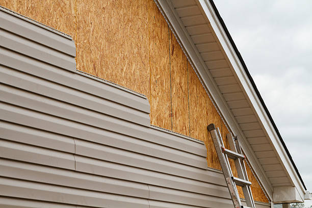 Professional Wood Siding technician working in Paoli, IN